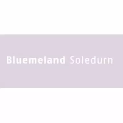 Logo van Bluemeland Soledurn GmbH