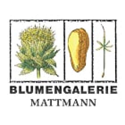 Logo fra Blumengalerie Mattmann AG