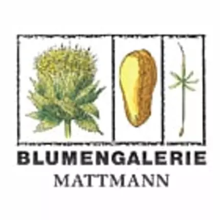 Logo de Blumengalerie Mattmann AG