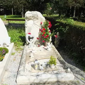 Bild von Steinbau Wildbahner Inh Susanne Göhring