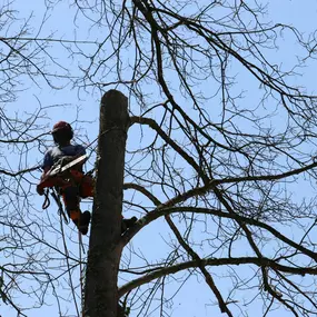 Bild von Hans Osterwalder AG