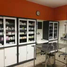 Tierklinik Wien-Süd - Dr. Weis und Team