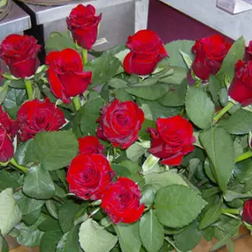 Bild von La Rose d'Or