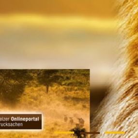 Bild von Lionprint.ch