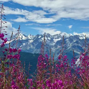 Bild von Verbier Language School