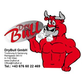 Dry Bull GmbH