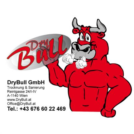 Logo van DryBull GmbH