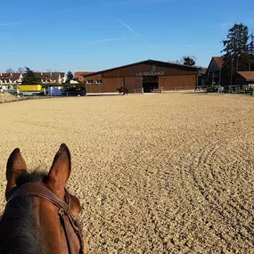 Bild von Manège de la Sallivaz & Poney club