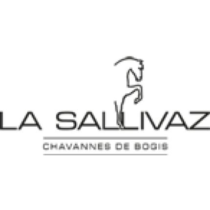 Logo od Manège de la Sallivaz & Poney club
