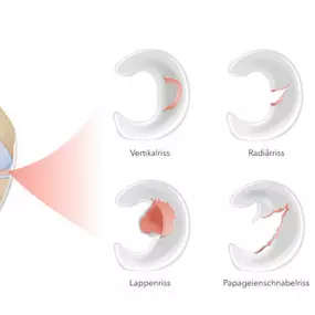 Bild von Physiotherapie Heiniger und Psychologische Körperarbeit