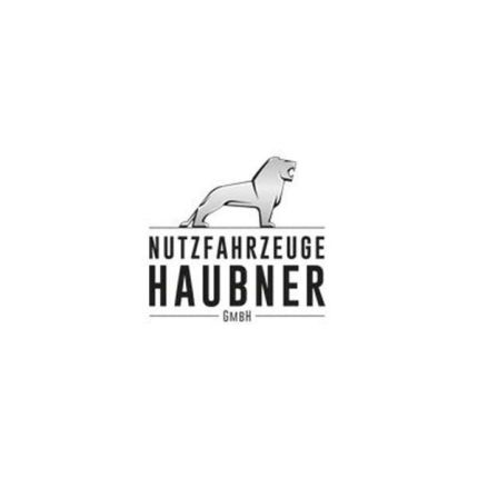 Λογότυπο από Nutzfahrzeuge Haubner GmbH Vertragspartner der MAN Truck & Bus Vertrieb Österreich GesmbH