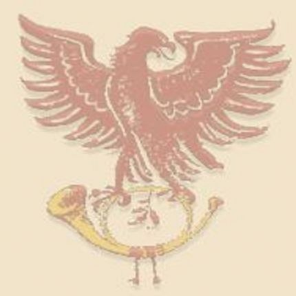 Logotyp från Hotel Adler-Post