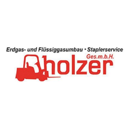 Logo fra Holzer GesmbH