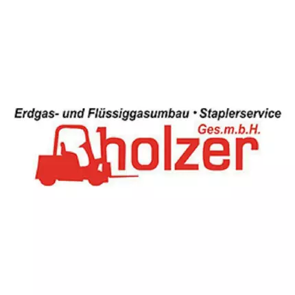 Logotyp från Holzer GesmbH