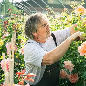 Bild von Bernhard Baumschulen AG