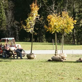 Bild von Schopfer Gartenbau AG