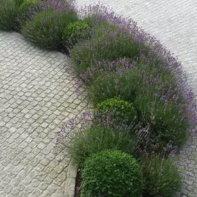 Bild von Christen GmbH Zäune und Gartenbau