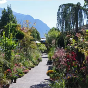 Bild von Müko Gartengestaltung AG