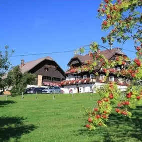 Willkommen am Feldlhof - Ramsau am Dachstein