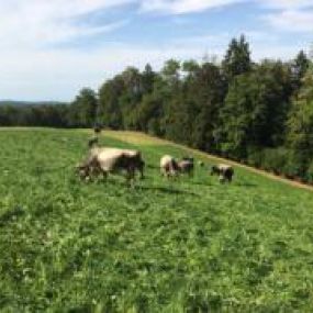 Bild von Ferme-Restaurant Pierreberg