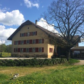 Bild von Ferme-Restaurant Pierreberg