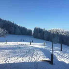 Bild von Ferme-Restaurant Pierreberg