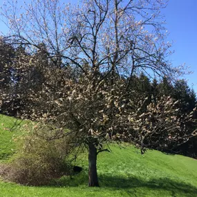 Bild von Ferme-Restaurant Pierreberg