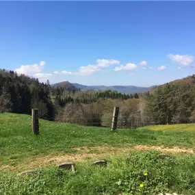 Bild von Ferme-Restaurant Pierreberg