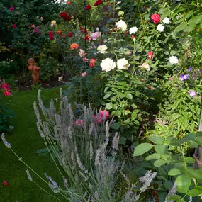 Bild von Bont Gartenbau und Gartenpflege AG