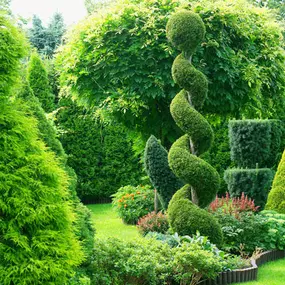 Bild von Bont Gartenbau und Gartenpflege AG