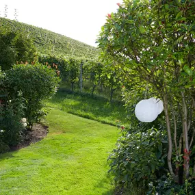 Bild von Bont Gartenbau und Gartenpflege AG