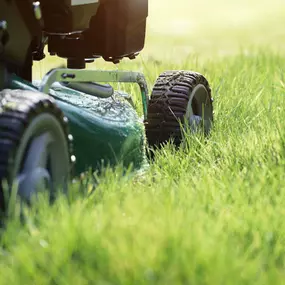 Bild von Bont Gartenbau und Gartenpflege AG