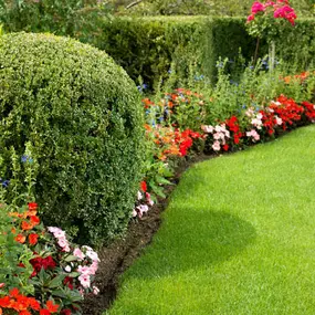 Bild von Bont Gartenbau und Gartenpflege AG