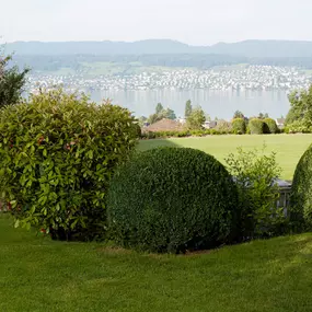 Bild von Bont Gartenbau und Gartenpflege AG