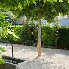 Bild von Bont Gartenbau und Gartenpflege AG