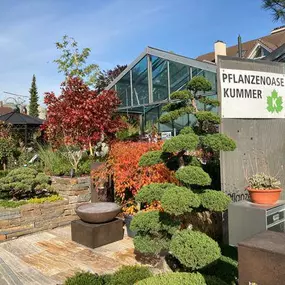 Bild von Kummer Gartenbau - Pflanzenoase