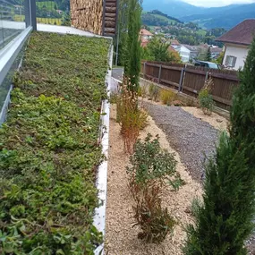 Bild von Kummer Gartenbau - Pflanzenoase