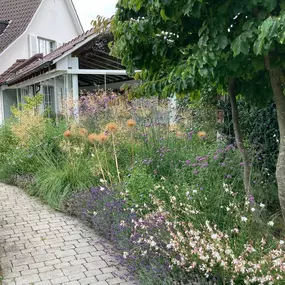 Bild von Kummer Gartenbau - Pflanzenoase