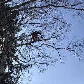 Bild von Abat.Tech Sàrl