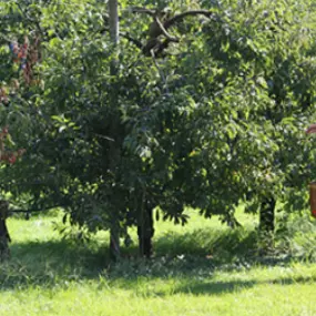 Bild von Hofladen Iten Letzi, 24h Produkteautomat