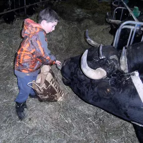 Bild von Ferme des Trontières Randogne