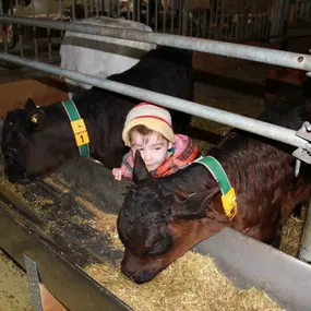 Bild von Ferme des Trontières Randogne