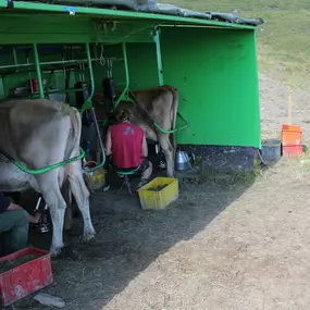 Bild von Ferme des Trontières Randogne