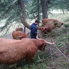 Bild von Ferme des Trontières Randogne