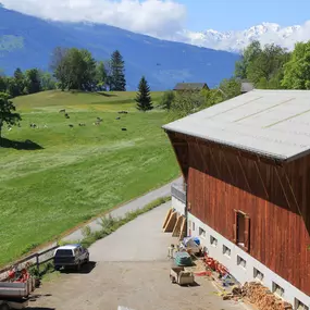 Bild von Ferme des Trontières Randogne