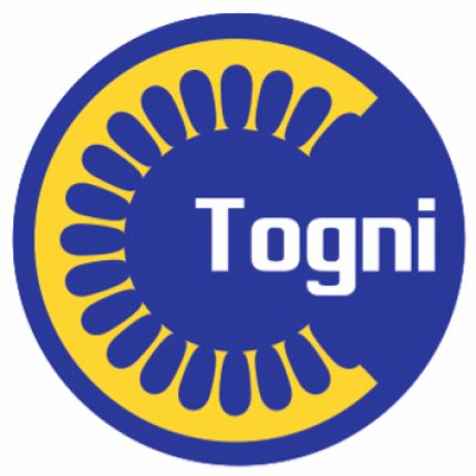 Logotipo de Togni Elettromeccanica SA