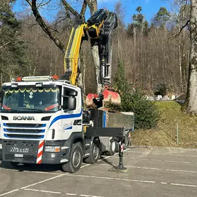 Bild von Nüssli AG Carreisen, Kranarbeiten und Transporte