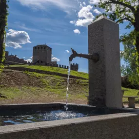 Bild von Azienda Multiservizi Bellinzona (AMB)