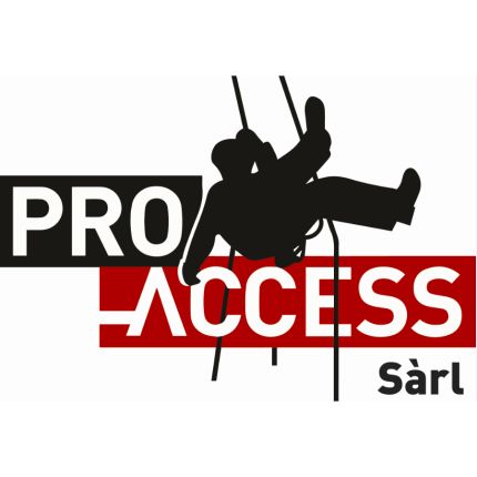 Logo da Pro-access Sàrl