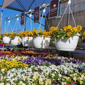 Bild von Luzerner Garten AG